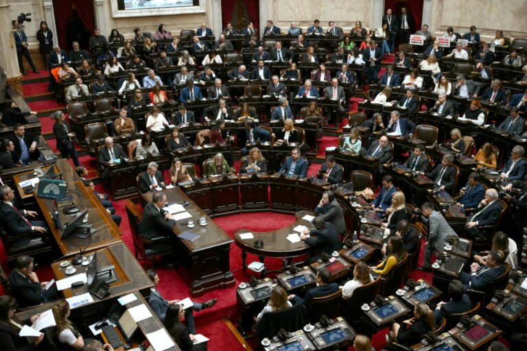 Guillermo Adorni en el Congreso durante su informe de gestión
