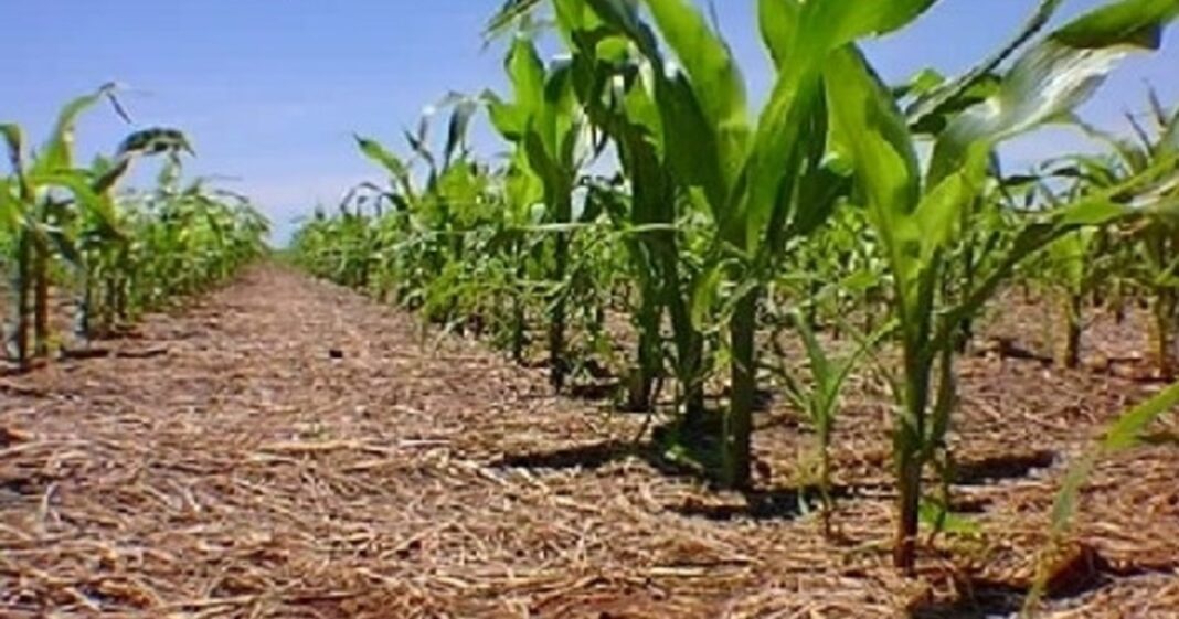 El Dr. Roberto Peiretti durante su exposición sobre agricultura sostenible en el evento organizado por el Centro Nacional de Agroecología de Francia.