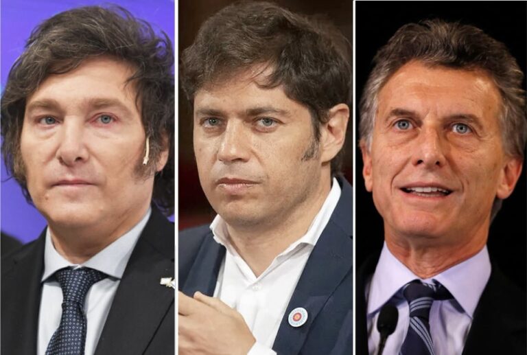 Gráficos de una encuesta sobre polarización política y sociedad en Argentina