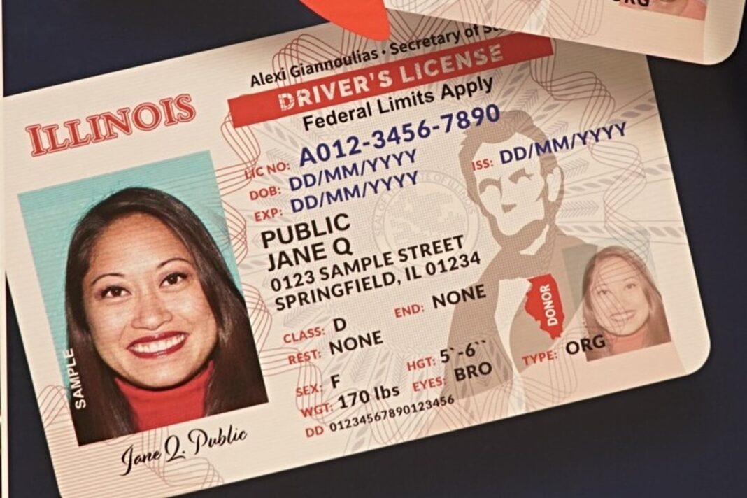 Persona conduciendo un automóvil con la licencia de conducir de Illinois visible