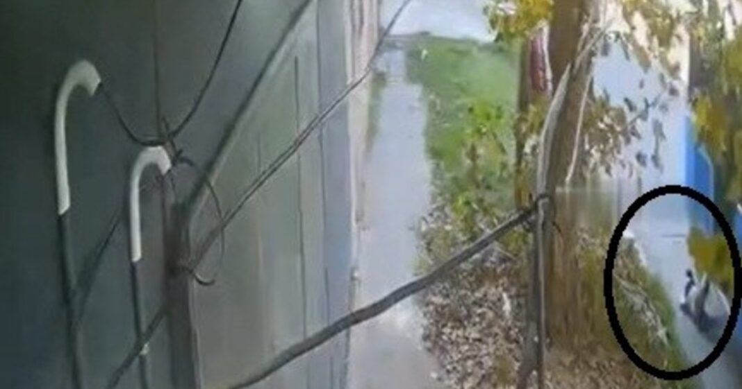 Ilustración de un colectivo urbano en una calle de barrio, con enfoque en la seguridad vial.