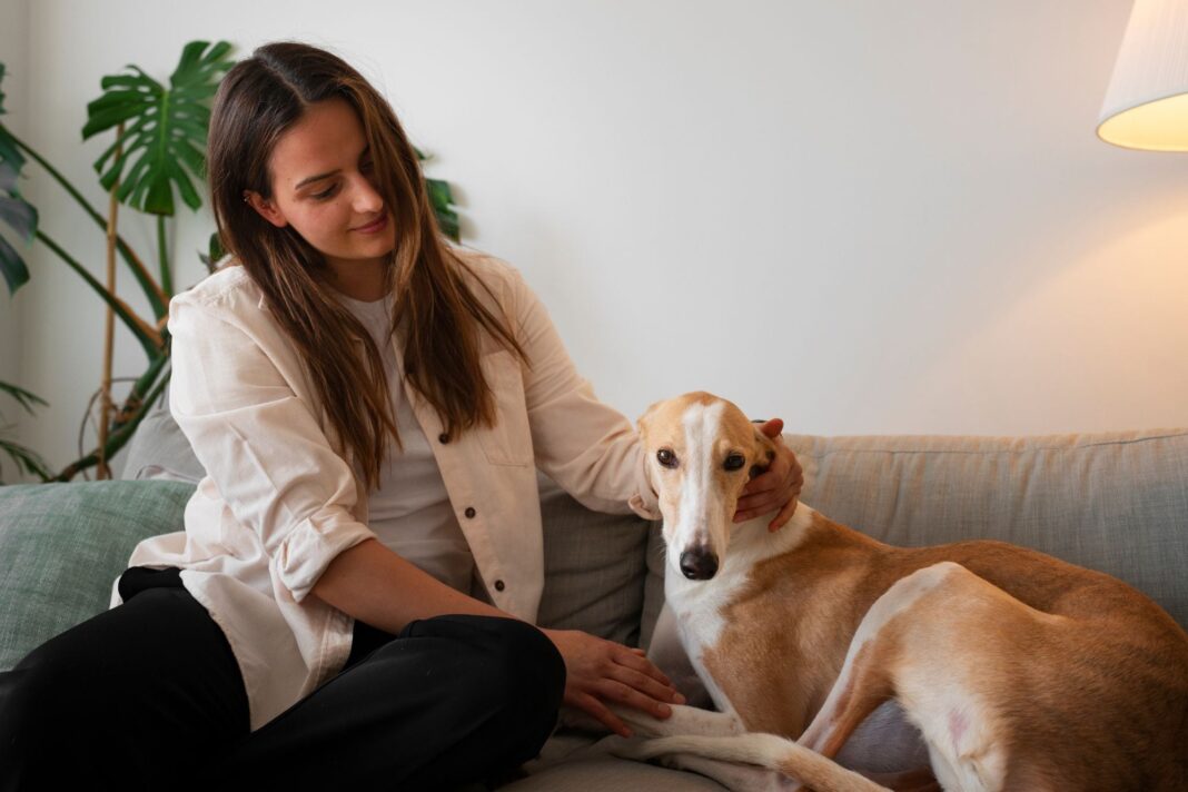 Persona despidiéndose de su perro en la puerta de casa, gesto de afecto hacia la mascota.
