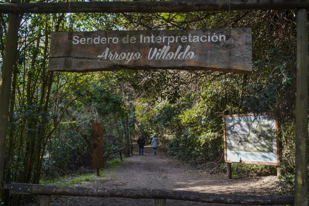 Vista del paisaje natural de la Reserva de Biosfera Parque Costero del Sur en Punta Indio, provincia de Buenos Aires.