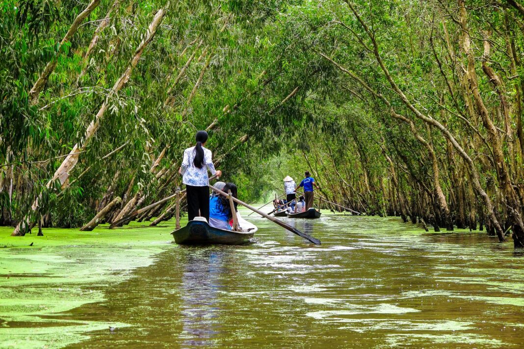 Paisaje del delta del Mekong con arrozales y manglares