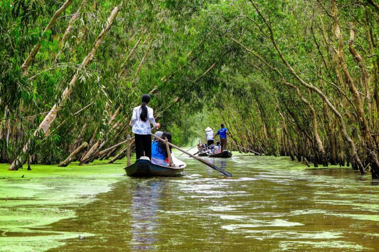 Paisaje del delta del Mekong con arrozales y manglares