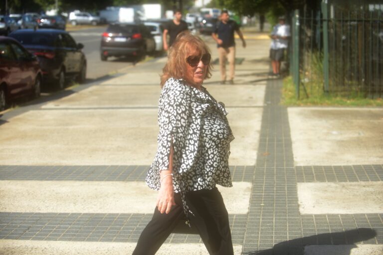 Viviana Fein, exfiscal federal, en los tribunales.