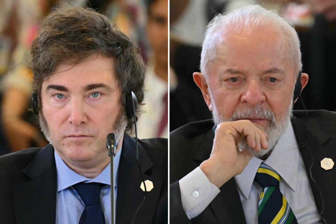 Campo de soja con granos en primer plano