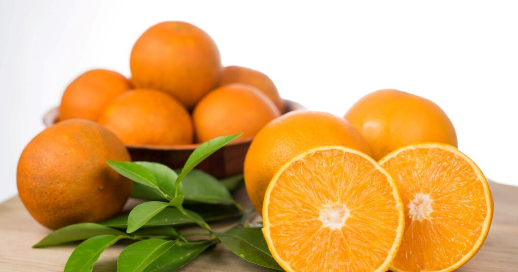 Semillas de naranja sobre tierra de maceta